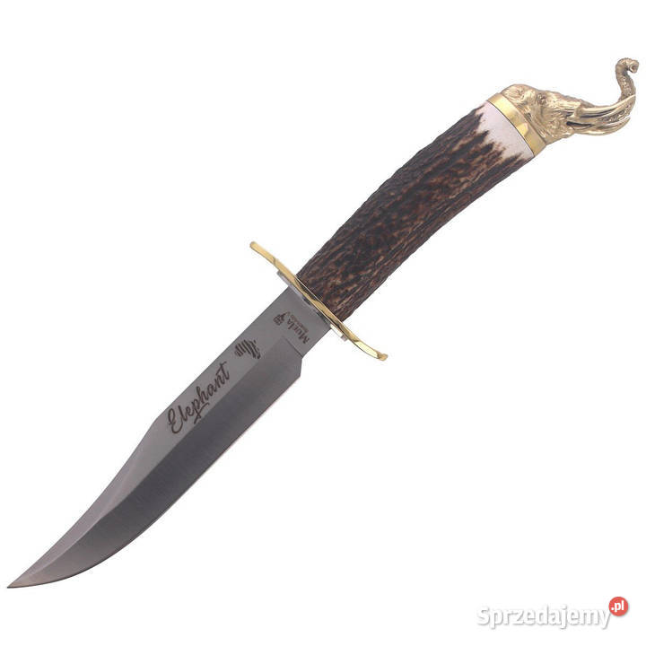 Nóż Muela Big Five Deer Stag Satin 14116 Gift Warszawa