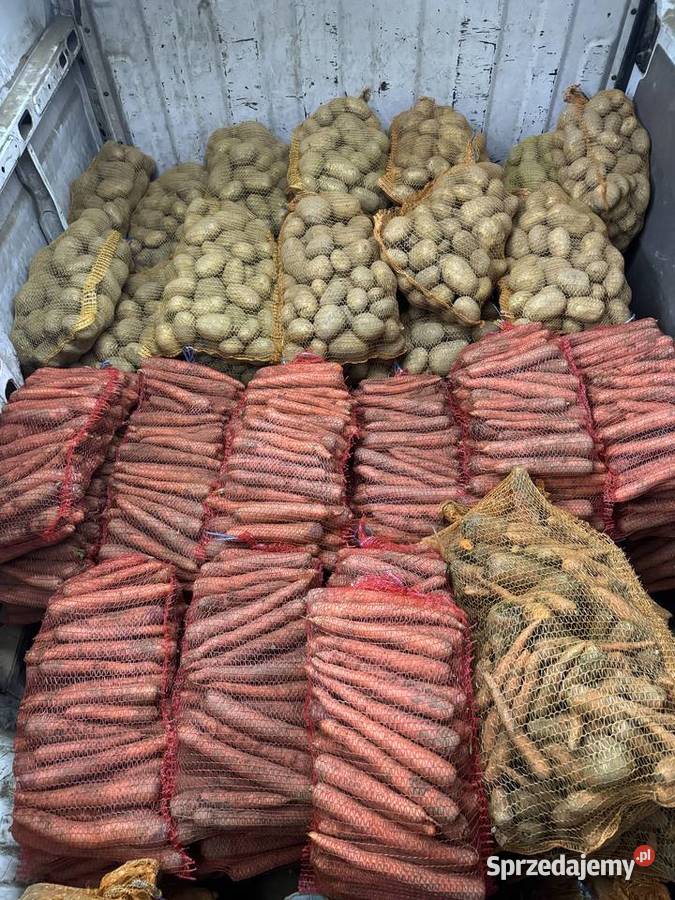 Ziemniaki i marchew rolnika Sandomierz