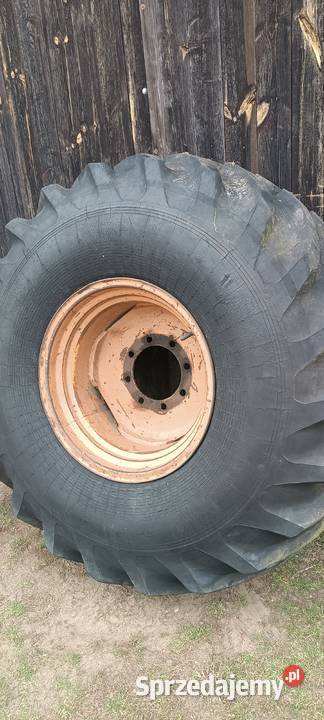 Koło Bizon ZO 56 23126 łódzkie Wieruszów