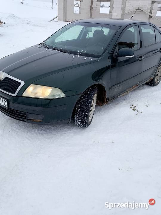 Skoda Octavia 19 TDI 105 Wszystkie części tanio Grudziądz
