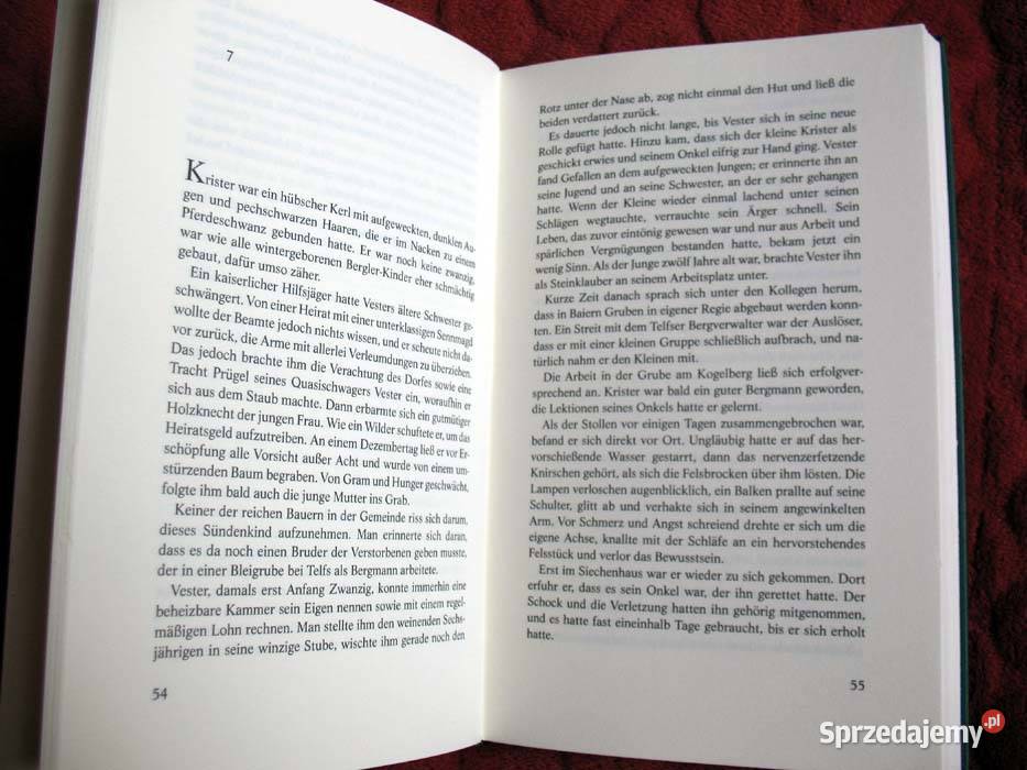 Der Sommer der Gaukler Robert Hultner książka Proza i poezja