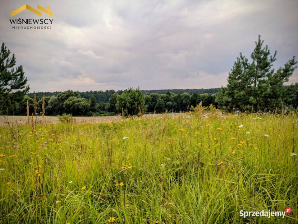 Działka rekreacyjna z widokiem na Jezioro Orkusz rekreacyjna pomorskie