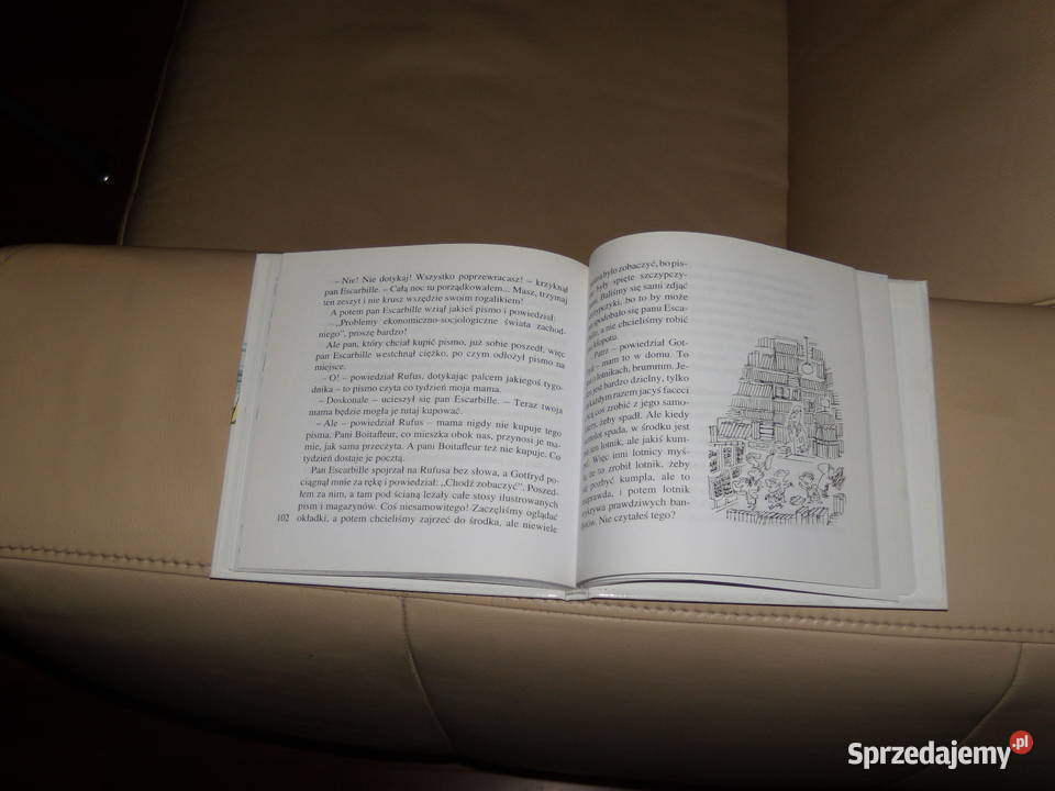 Mikołajek i inne chłopaki mazowieckie Warszawa