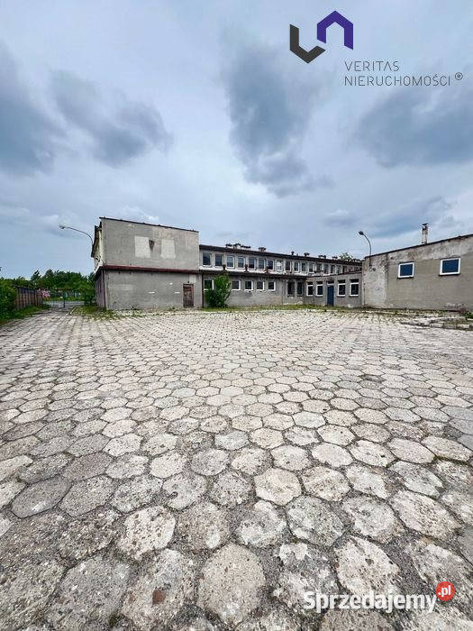 wynajmu lokalu Mysłowice 1200m2