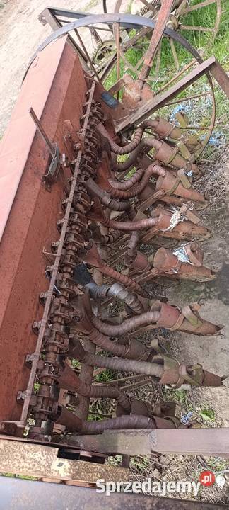 Siewnik zbożowy sprawny gotowy do pracy mazowieckie Iłża