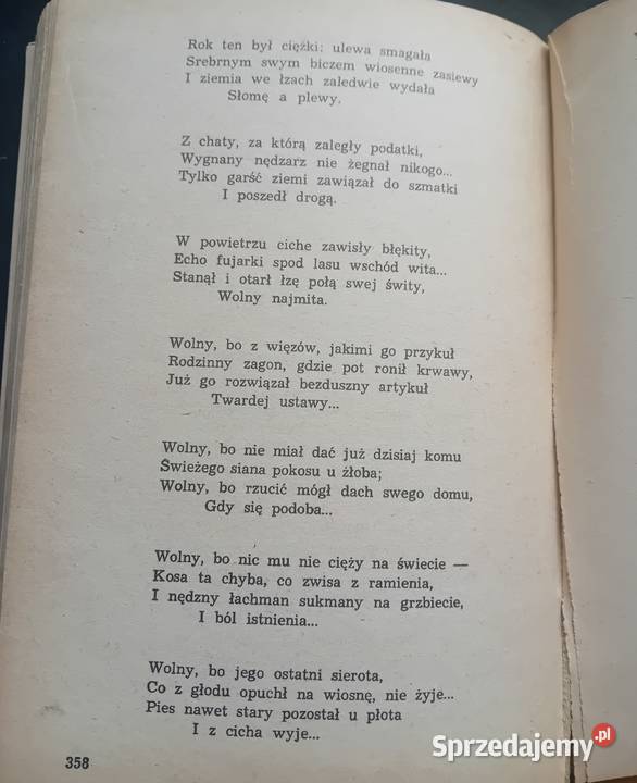 Alina NoferŁadyka Literatura polska okresu