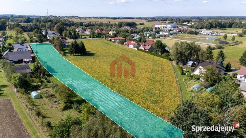 Grunt Sielec 3371m2 sprzedam