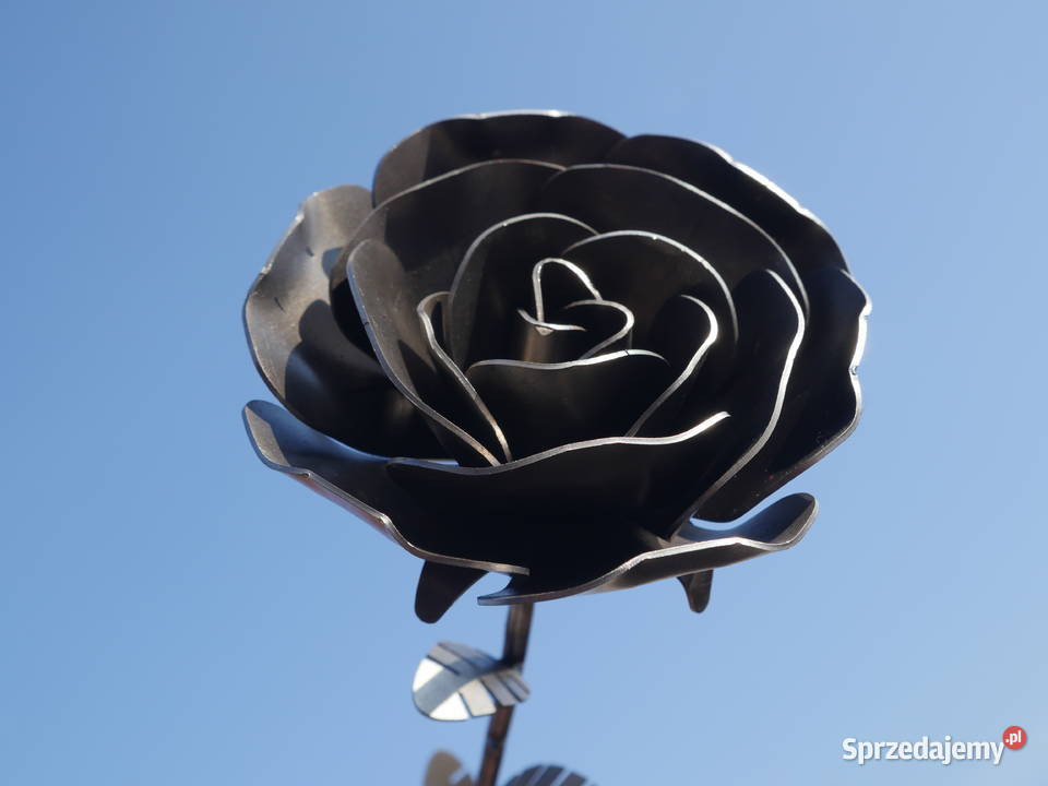 Wieczna Róża Surowa Stal Rękodzieło