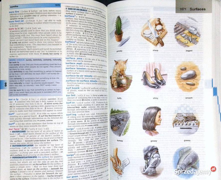 Longman Dictionary of Contemporary English Della Chełm