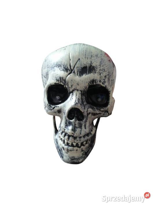 Świecący szkielet na Halloween zestaw czaszka Pozostałe