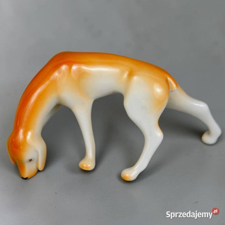 Pies wyżeł krótkowłosy Aurl Kldor porcelana Porcelana i szkło Bronisze
