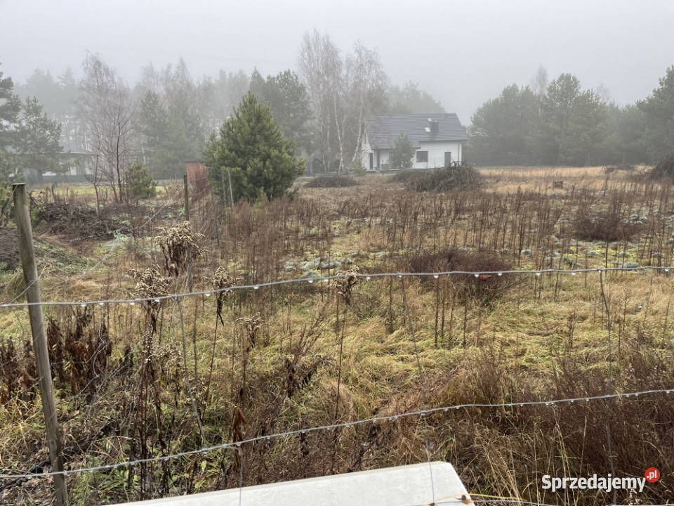 Działka budowlana w Rżyskach Sprzedaż Rżyska