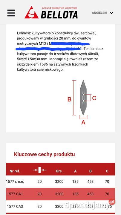Redlica ząb sercówka dwusercowa dwu sercowa