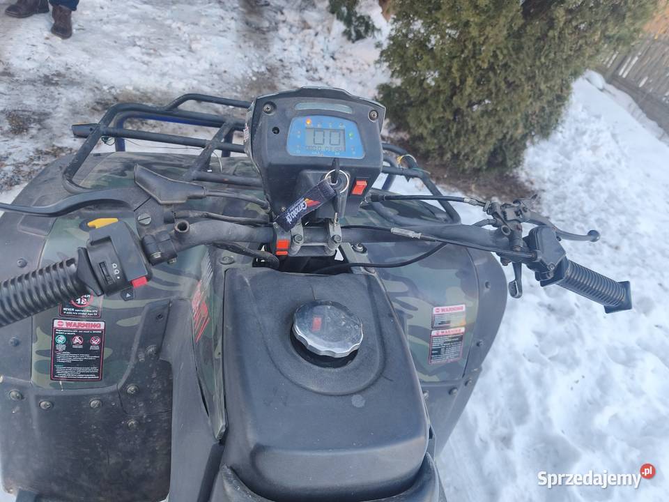 Quad 250 terenowy tył napęd stan Mniów