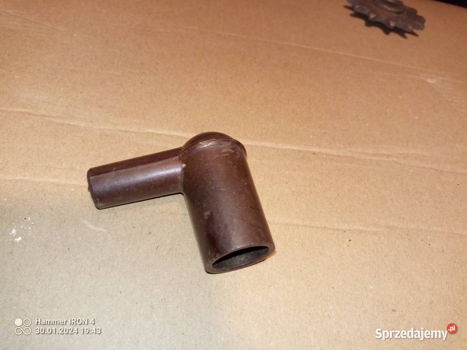 komar fajka żak ryś wielkopolskie Międzychód