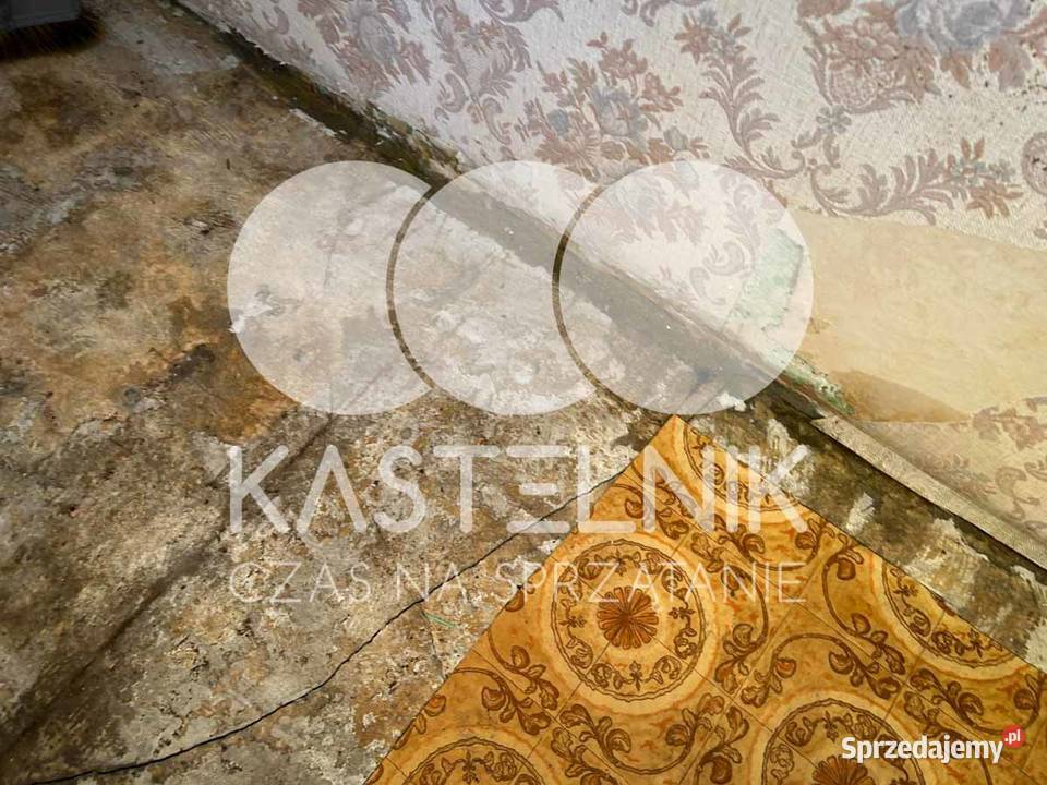 Sprzątanie zgonach Puławy Kastelnik Dezynfekcja lubelskie