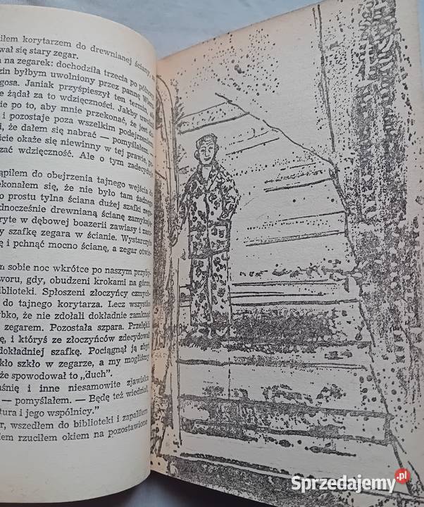 Zbigniew Nienacki Niesamowity dwór Wydawn sprzedam