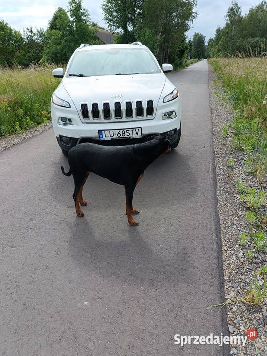 Jeep Cherokee 32 V6 4x4 Limited Automat Skóra Rok produkcji 2017