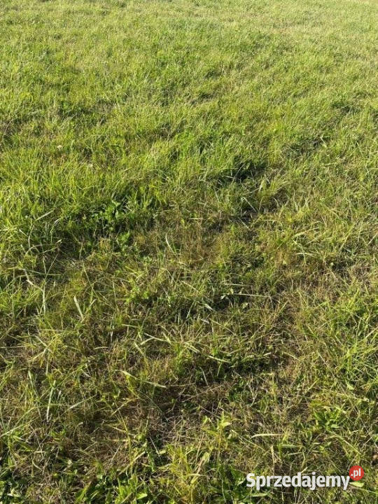 Sprzedam działka 300m2 Jezierzany zachodniopomorskie