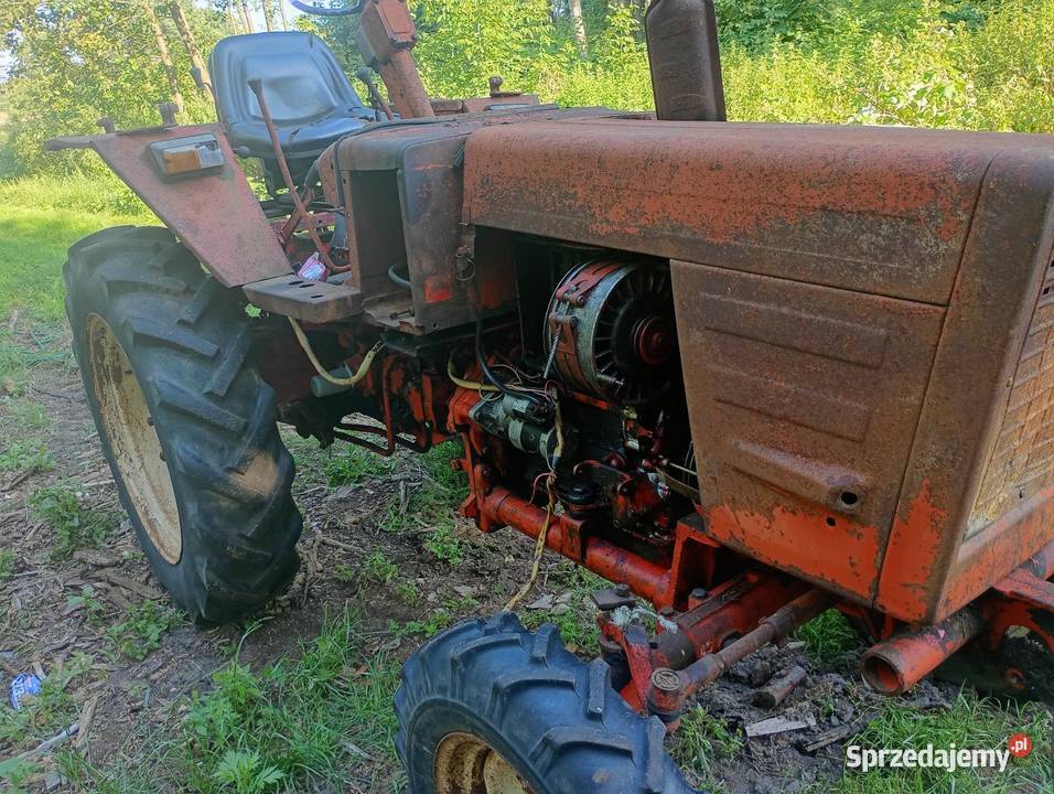 Władimirec t25 Rusek