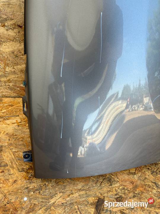 Renault Scenic 3 III kod lak TEKNG BŁOTNIK PRZÓD Słowikowo