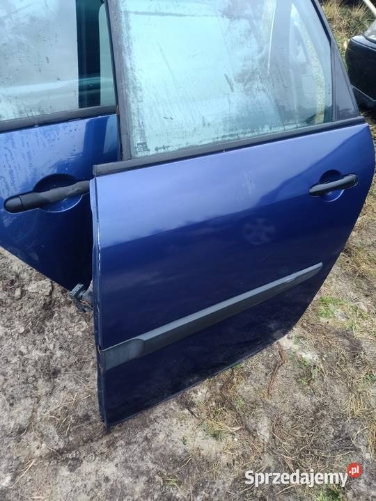 Drzwi lewy tył tylne renault scenic II 2 tef43 Szczecin