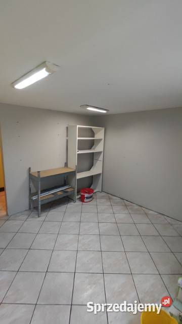 Lokal Palacza dzielnica Łazarz Poznań