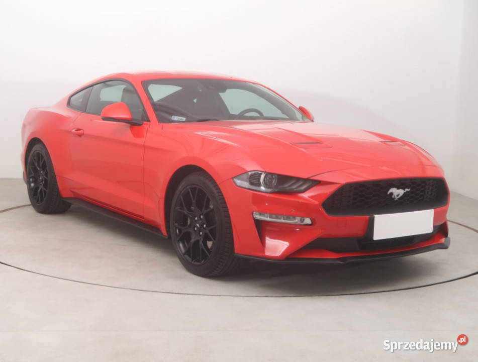 Ford Mustang 23 Ecoboost Mustang dolnośląskie Bielany Wrocławskie