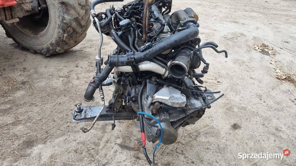 mitsubishi carisma 19 did cześci skrzynia wydech Motoryzacja wielkopolskie