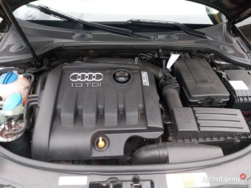 Audi a3 19 tdi aluminiowe felgi