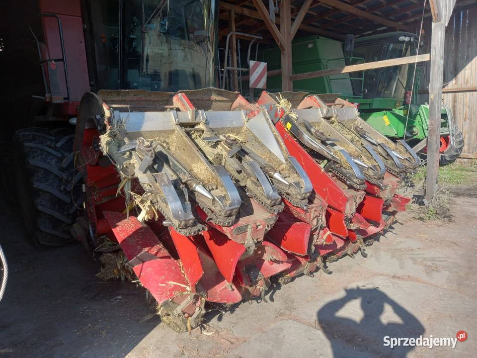 Przystawka do kukurydzy 8 Case Holland ładna New Holland Biskupice