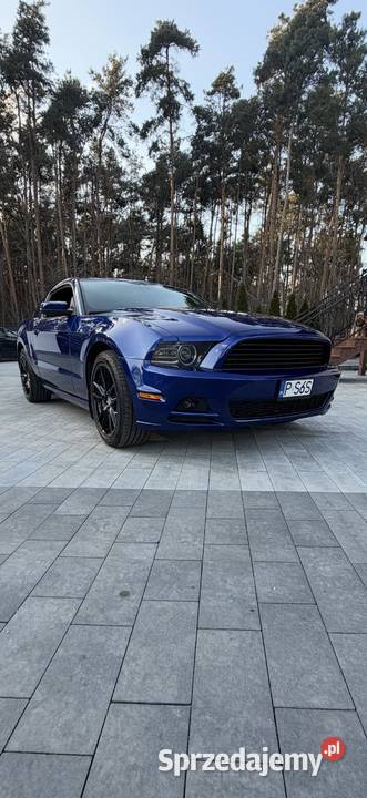 Ford Mustang GT V8 50 manualna