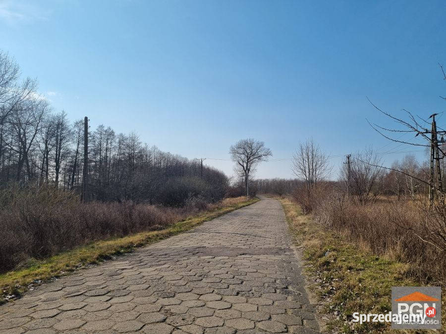 Sprzedam grunt Buniewice 1000m2 sprzedam