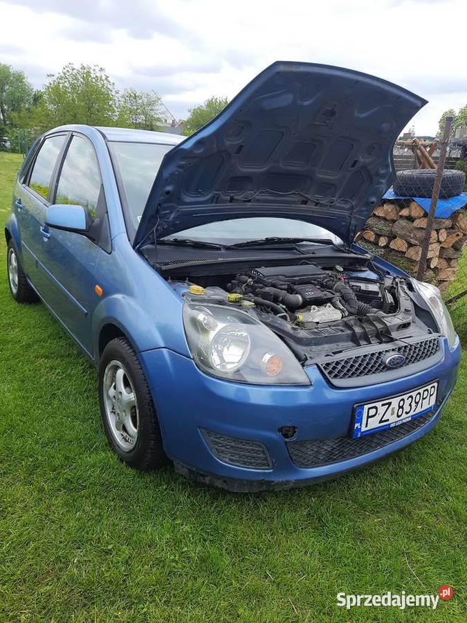 Fiesta 14 hdi klima Mega sprawny Długo oc I pt 176000km wielkopolskie Poznań
