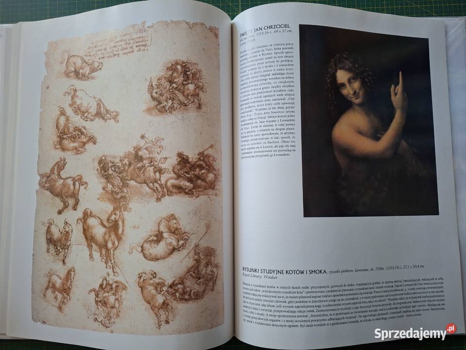 Wielka kolekcja sławnych malarzy 60 tomów małopolskie Kraków