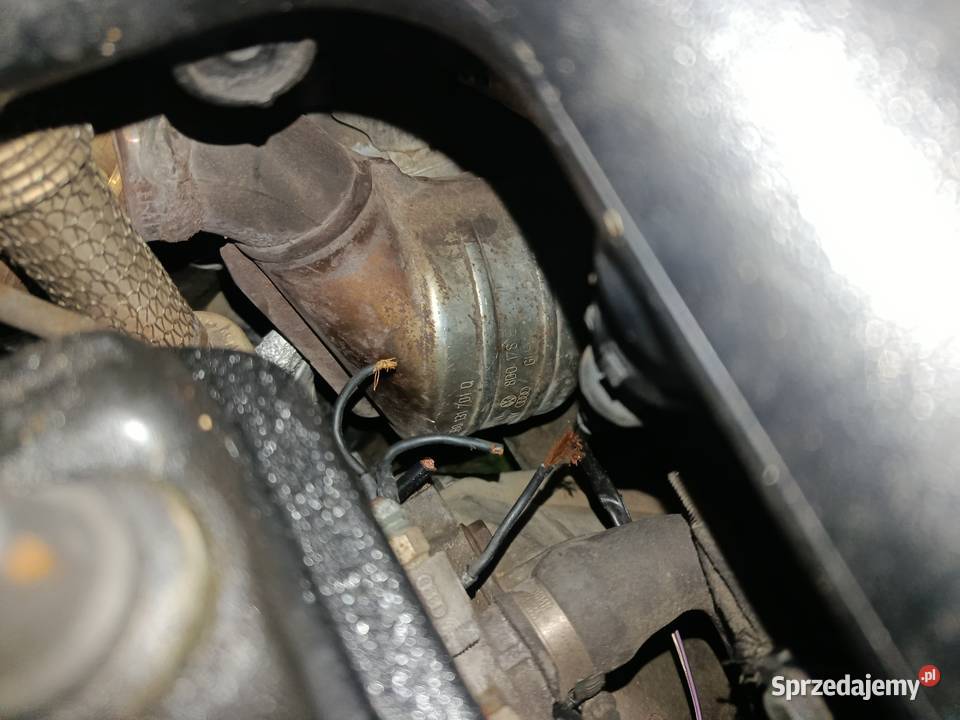 Katalizator Domaniewice