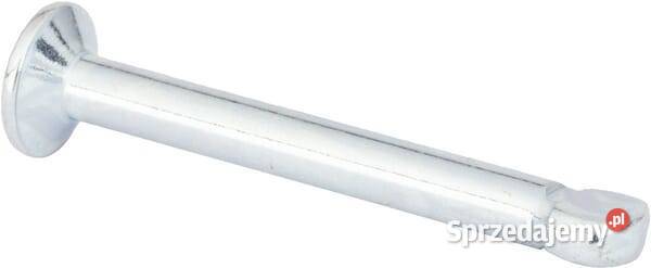 Kołek sprężysty 4015117 małopolskie Kamionna