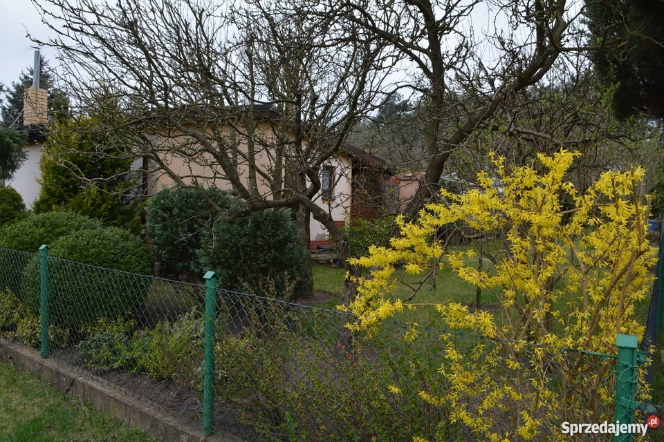 Działka w ROD RelaxUmultowo Poznań