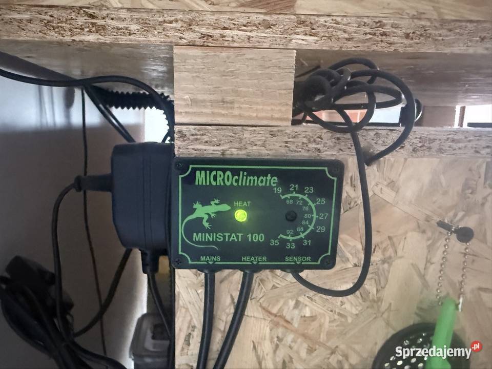 Sprzedam terarium gekona lamparckoego kujawsko-pomorskie Kołodziejewo sprzedam