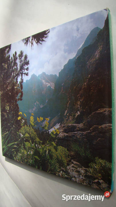 Kraina bogata w piękno i talenty