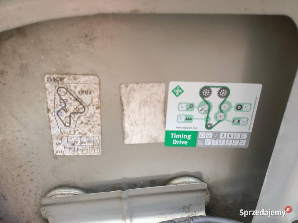 Renault Scenic 96 bezwypadkowy klimapierwszy Scenic Szczecin