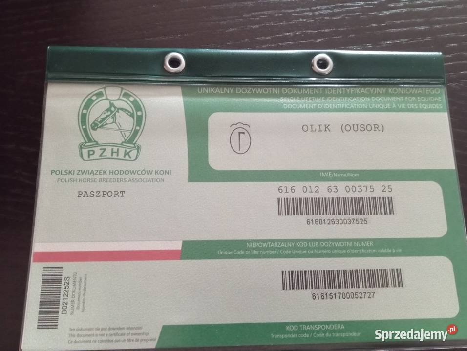 Sprzedam ogierka huculskiego podkarpackie