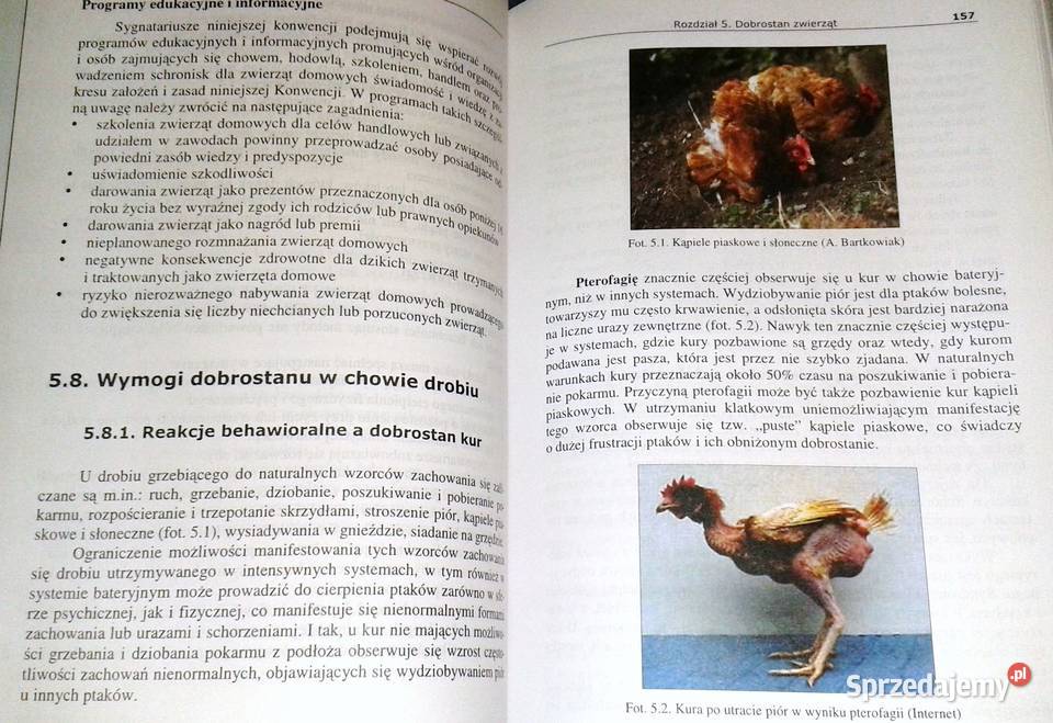 Higiena i dobrostan zwierząt gospodarskich Roman Rok wydania 2006 Pozostałe