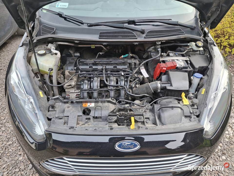 Ford fiesta mk7 Polski salon przebieg 84255 Mielec