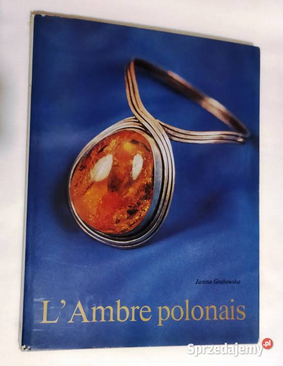 Polski bursztyn książka