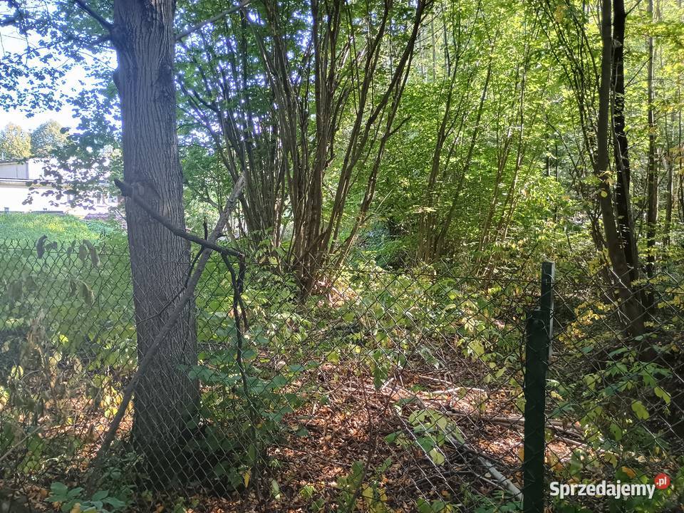 Syndyk sprzeda Sadek