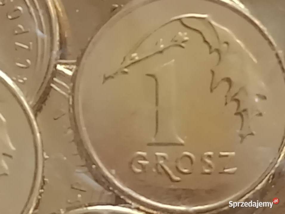 Moneta 1 gr 2021 r Mennicza Mosina sprzedam