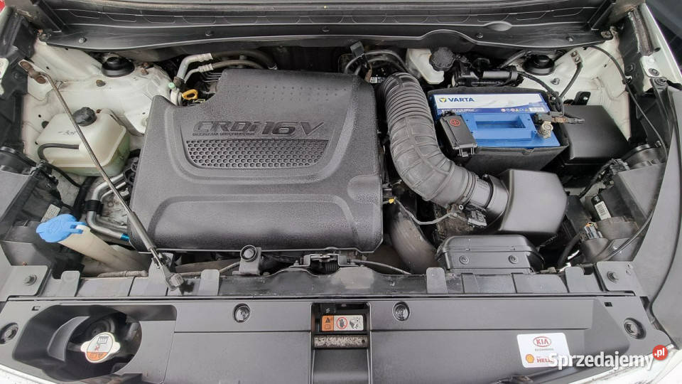 Kia Sportage Skóry Panorama Navi 20 136 światła LED mazowieckie Płońsk