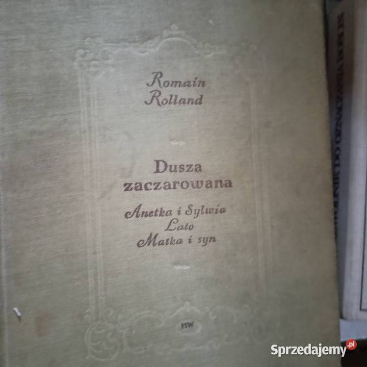 Dusza zaczarowana książki wysyłka Trójmiasto