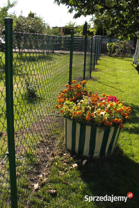 Siatka ogrodzeniowa ocynkowana 25mm oczko 60X60 dolnośląskie